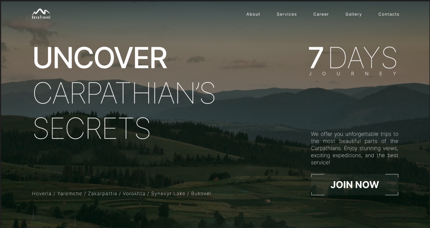 project preview